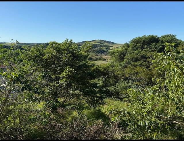 LAND FOR SALE IN ZINI RIVER ESTATE